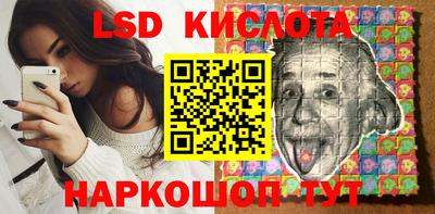 стафф Заводоуковск