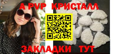 стафф Заводоуковск