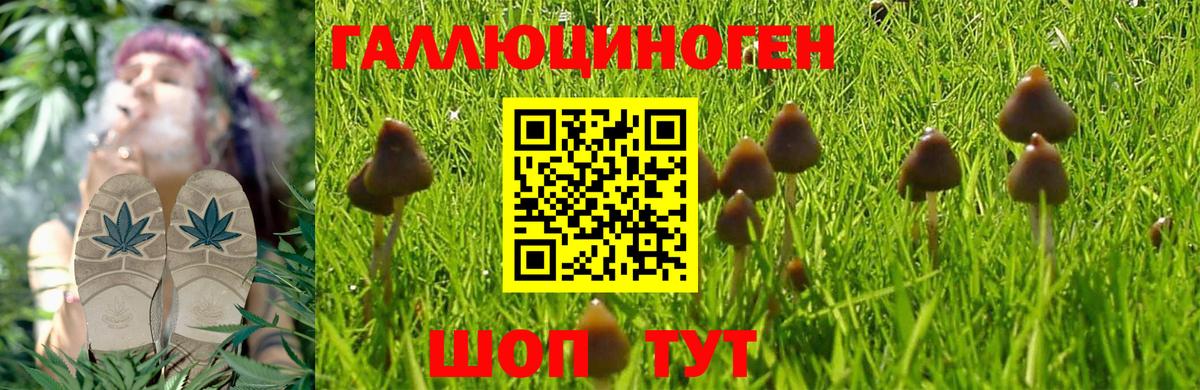 Псилоцибиновые грибы Magic Shrooms  Вход с VPN  Галлюциногенные грибы мицелий  Лосино-Петровский 